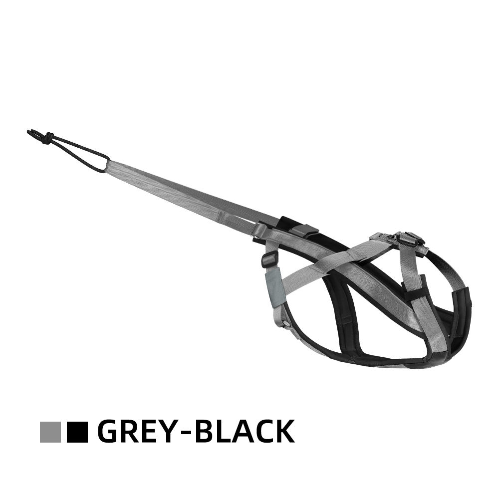 gray and black