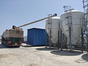 蛋鸡自动饲养鸡定量精密饲喂系统