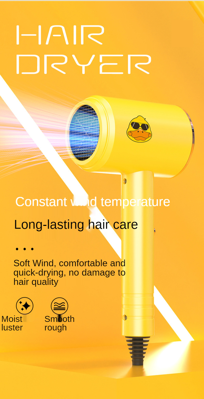 Hot Selling 800W Salon Professional DC Motor Concentrator/Ionic and Induction Function Professional blow Hair dryer