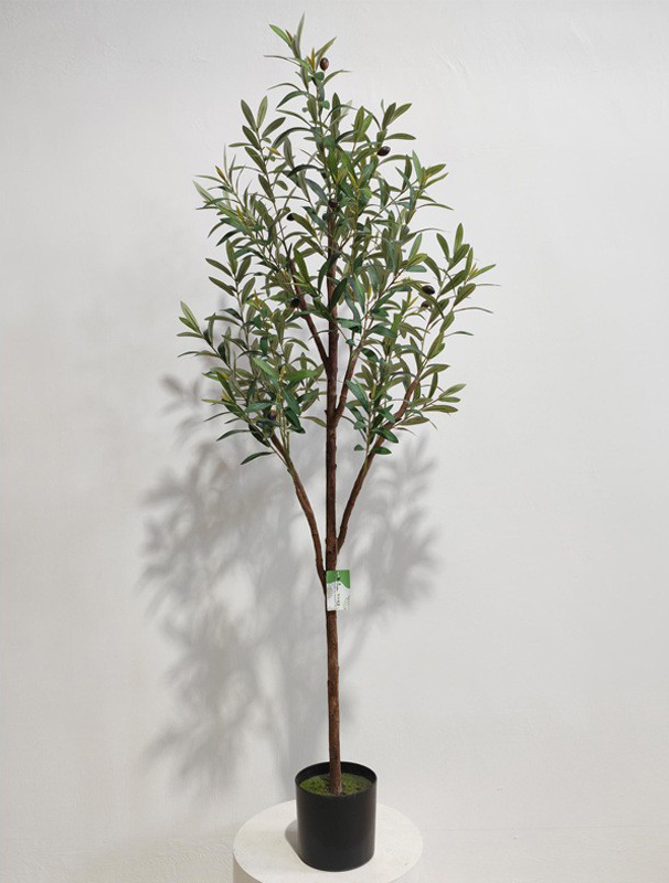 Green 150cm (Tender Bud Version)