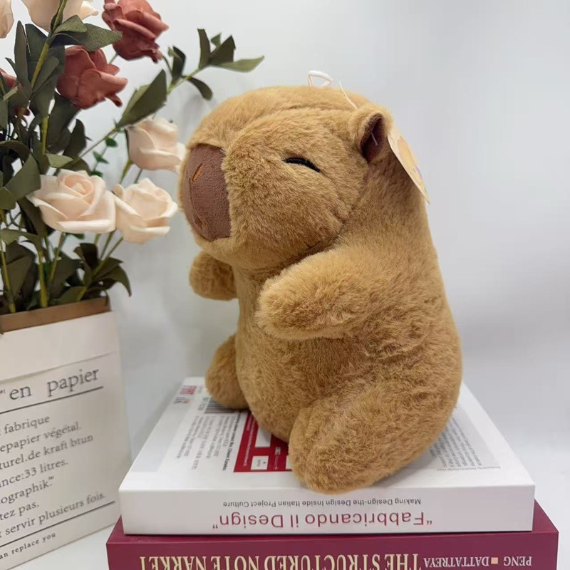 คาปิบาราสีน้ำตาลคลาสสิก