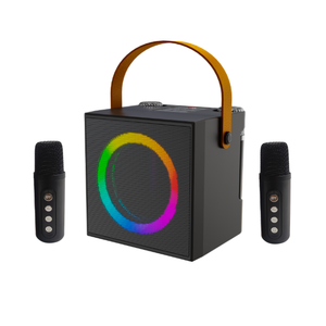 Hochwertiger drahtloser Bluetooth-Lautsprecher RGB-Licht Karaoke Dj Power Bass Subwoofer-Verstärker Mit Doppel mikrofon