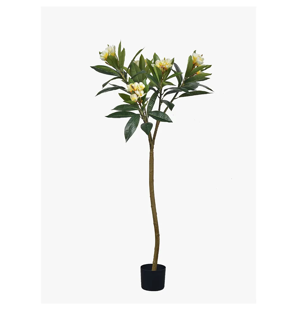 เทรนด์ยอดนิยม 150 ซม. ต้นไม้ประดิษฐ์ ดอกไม้พืช Plumeria obtusa สําหรับตกแต่งในร่ม