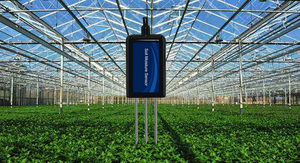 LORA LORAWAN-Sensor de humedad del suelo, dispositivo con salida analógica, Software de servidor RS485 4-20mA 0-5V 0-10V - Product Image 5