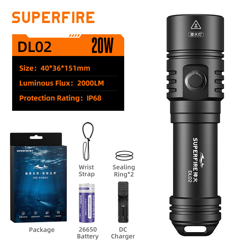 DL02(20W)