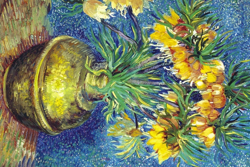33-119 fleurs