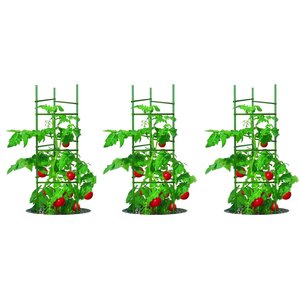 农场应用洛奇杆番茄笼新植物支撑棒桩组装花园番茄笼环保装饰