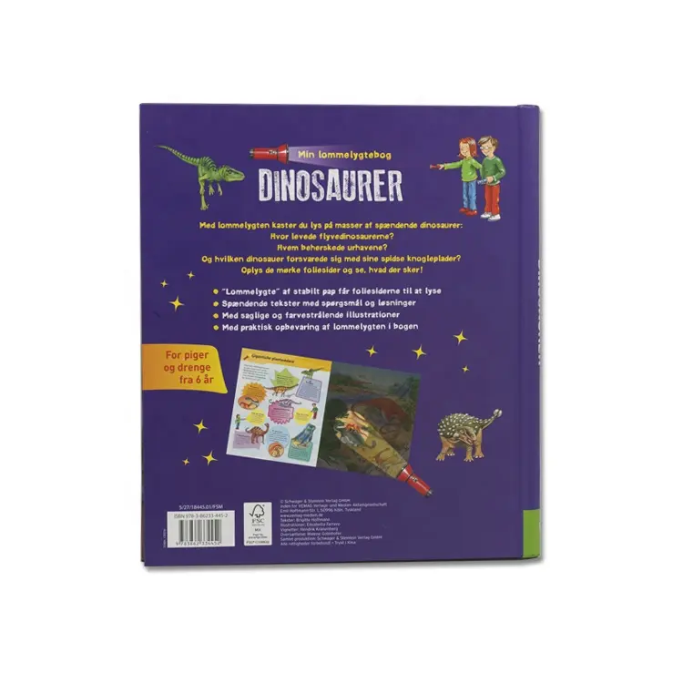 Kinder Wissen Enzyklopädie Hardcover Englisch Bücher Kinder Gehirn Quest Buch