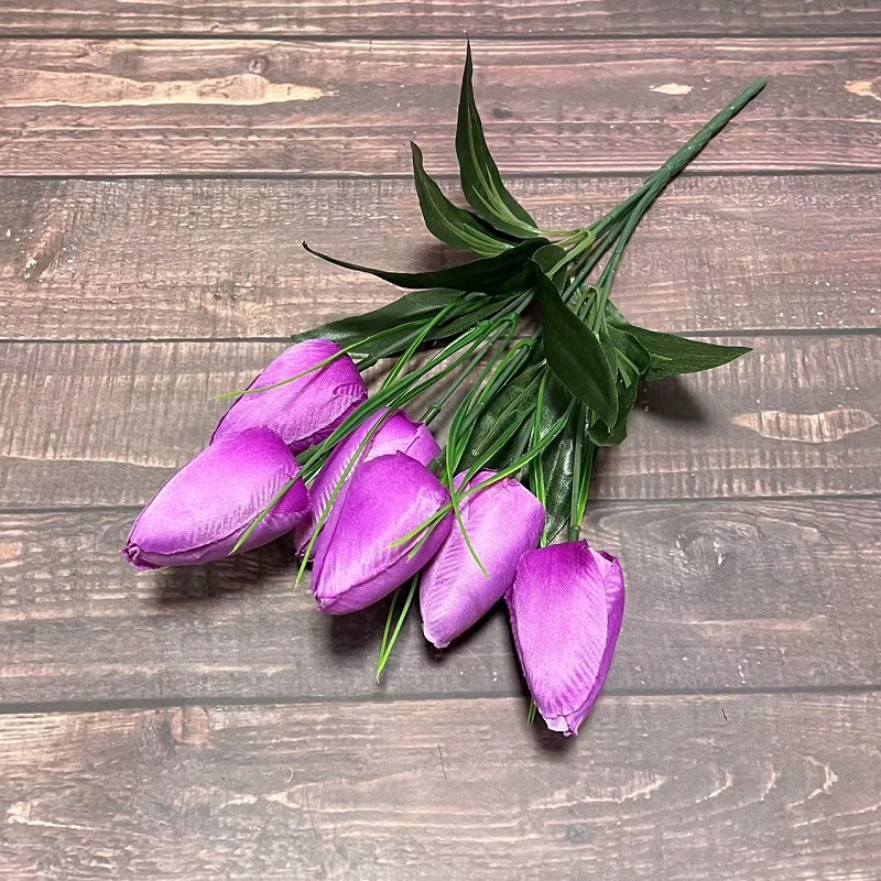 Viola