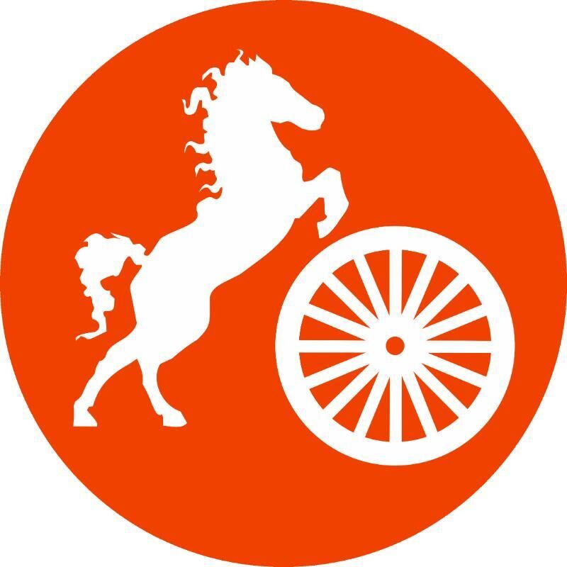 company logo