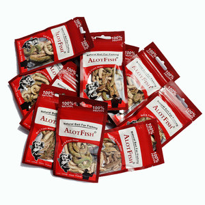 Sống Mồi Câu Cá Màu Xanh Lá Cây Sống Giun Cát Sống Mồi Câu Cá Nereis - Product Image 6