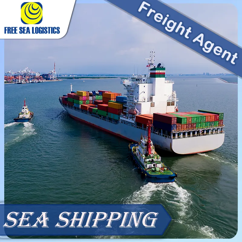 Морской агент доставки грузов вперед Ddu Ddp сервис в Дубай Саудовская Аравия морские перевозки