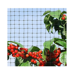 Nylon Red de Aves Blaubeere Frambuesa <span class=keywords><strong>Anti</strong></span> Vogel netz Obst fröhliche Trauben Schutz netze Obstgarten Vogelschutz netz