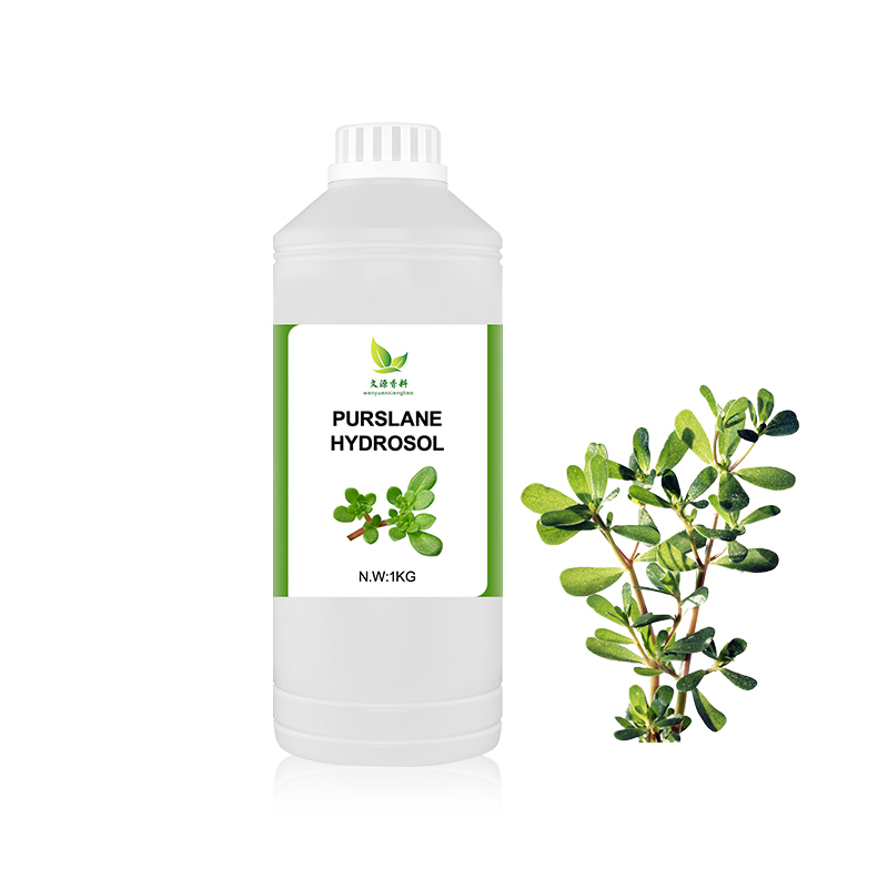 Purslane