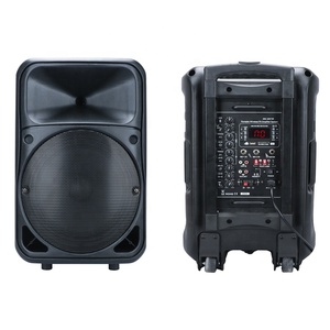 PK-3212 tragbarer MP3-Player BT Outdoor DJ Lautsprecher mit UHF kabellosem Mikrofon Karaoke 12 Zoll 200 Watt Trolley Lautsprecher