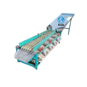 Máquina clasificadora de frutas de alta presión Calibrador de frutas Máquina clasificadora electrónica de peso de frutas - Product Image 4
