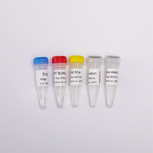 QPCR RNA ters transkriscription kiti cDNA sentezi premix # R1031 için RT-PCR Mix - Product Image 3