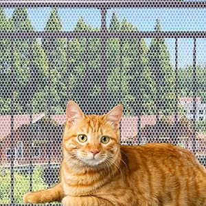 Fabrik Hochwertige Hdpe Cat Sicherheits netz Fenster Netz Zaun Mesh