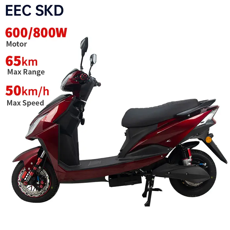 CKD EEC 600W/800W 40-50 km/h vitesse 45-65km gamme cyclomoteur électrique importation 10 pouces scooters électriques de chine