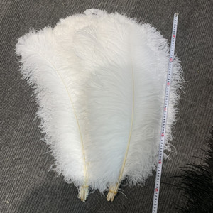 Yüksek kaliteli devekuşu tüyler beyaz toplu 70-75 cm 28-30 inç büyük beyaz devekuşu Plumes parti karnaval düğün dekor için