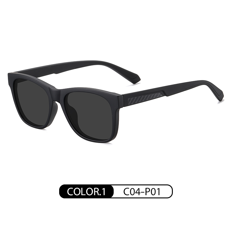 สีดำด้านเทา C04-P01