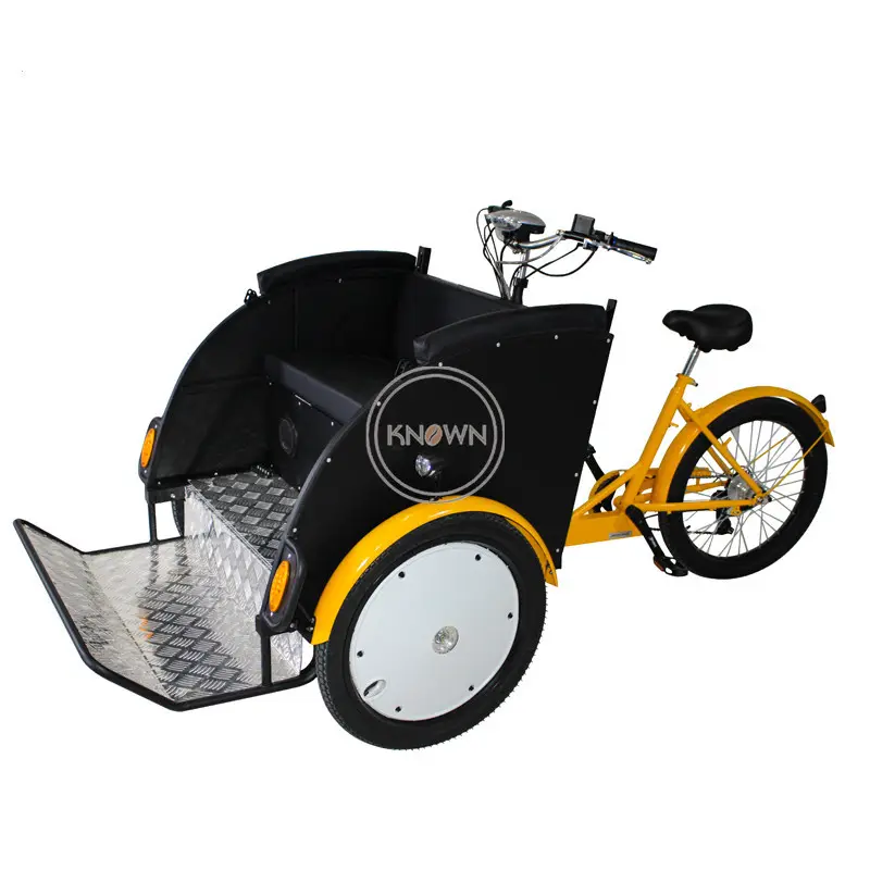 2024 taksi Rickshaw sıcak satış elektrikli üç tekerlekli bisiklet gezi için yeni ters kargo bisiklet