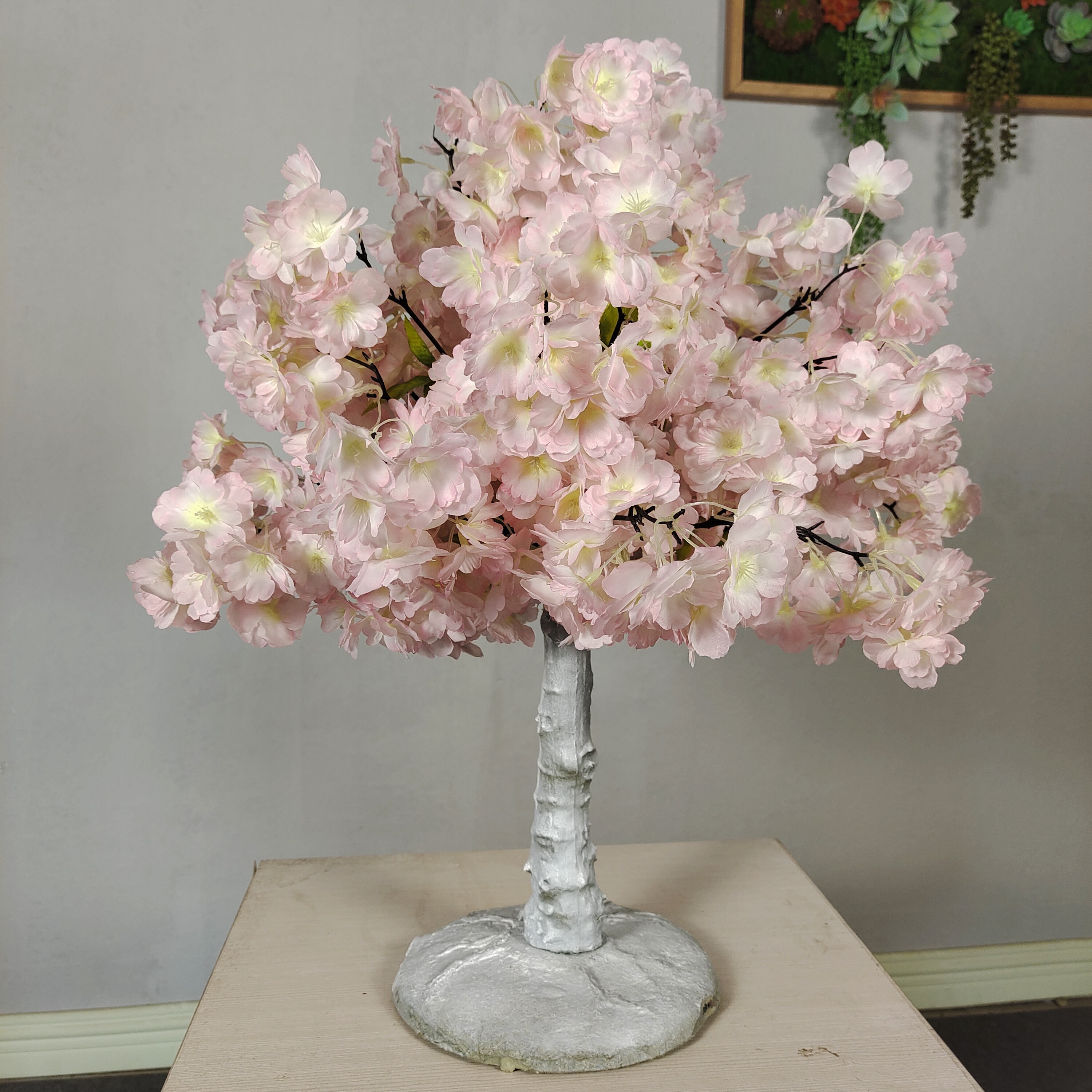 cherry blossom tree 50cm