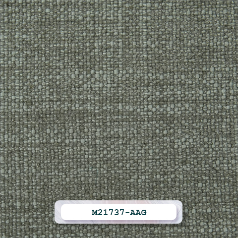 M21737-AAG