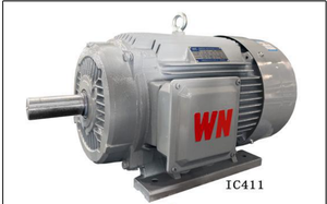 Wannan Elektrische Tycp-Serie Driefasige Variabele Frequentie Aandrijving Permanente Magneet Synchrone Motor | 750 Tpm | Directe Aandrijving - Product Image 6