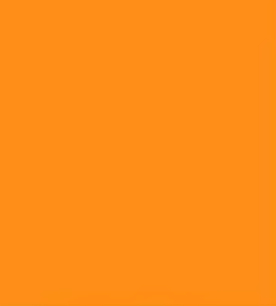 Naranja Calabaza (10301)