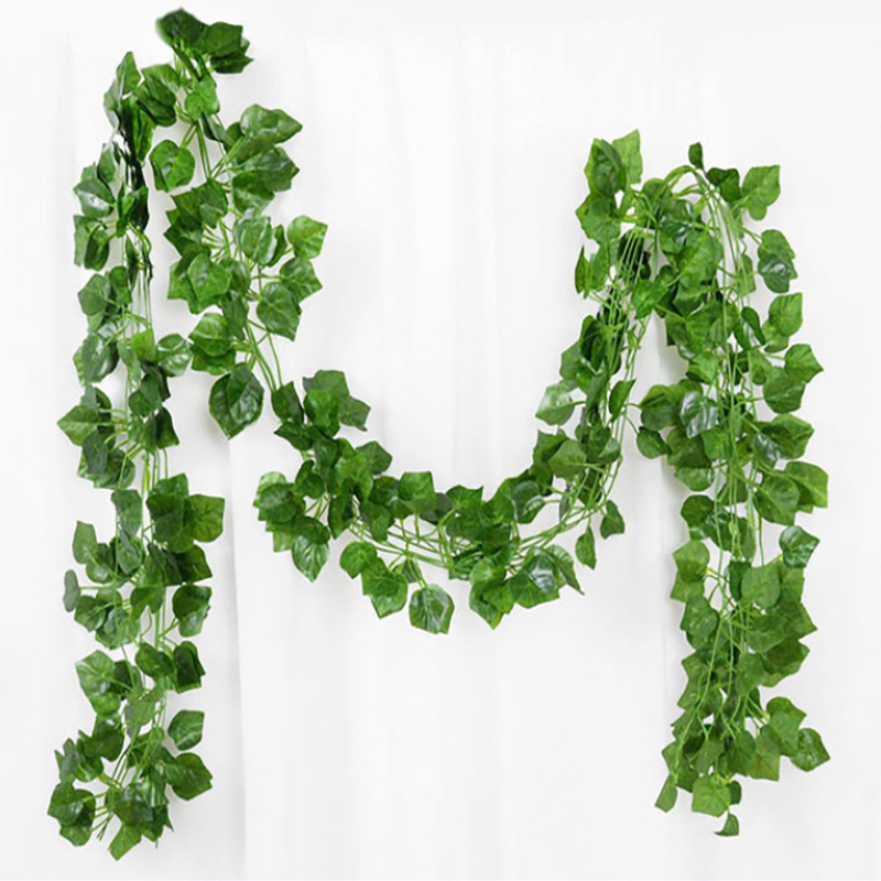 Vert 72 feuilles de vigne 2,31 de long