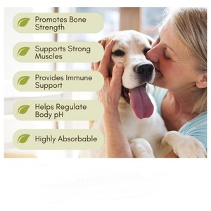 مكمل غذائي عالي الجودة لتعزيز نمو الغضروف للكلاب، أقراص قابلة للمضغ لجميع السلالات، منتج للعناية بصحة الحيوانات الأليفة - Product Image 2