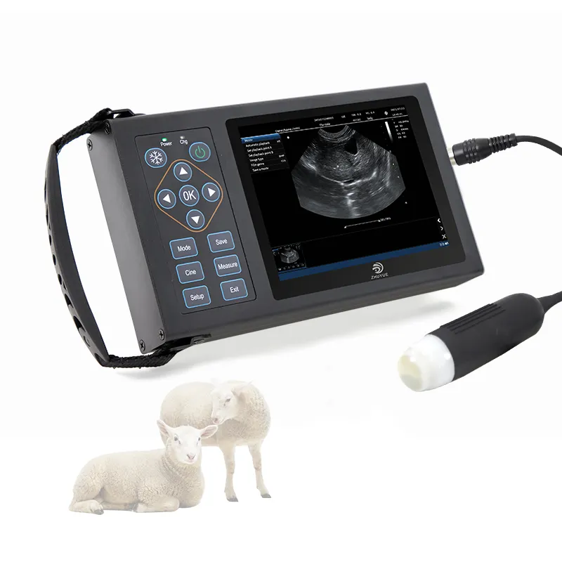Vet ad alta definizione ad ultrasuoni portatile macchina diagnostica del bestiame per animali domestici veterinaria sonda ad ultrasuoni