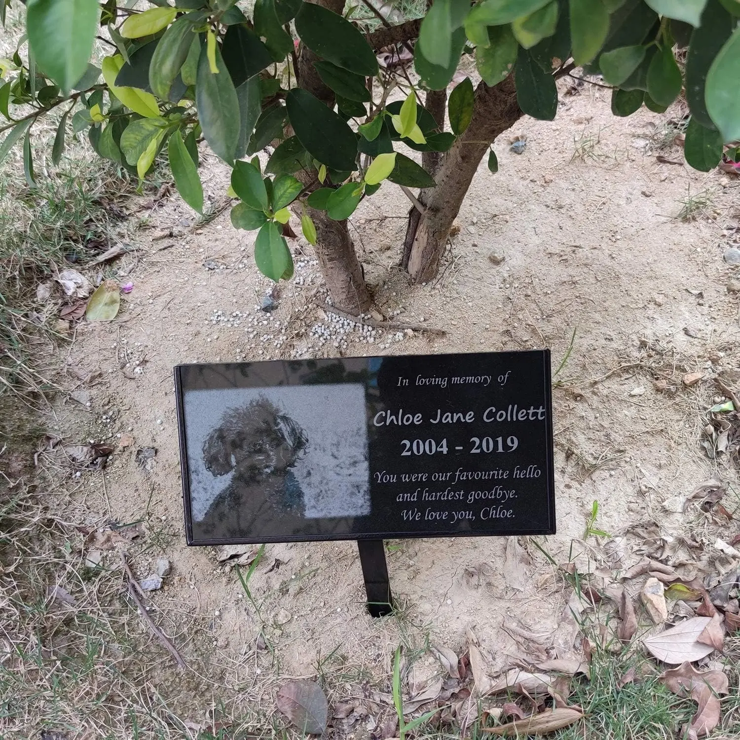 Soporte de marcador de tumba soporte de piedra conmemorativa para seres queridos mascotas marcador de tumba para cementerio