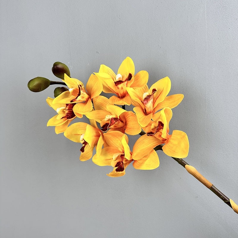 Jaune
