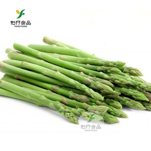 Măng Tây Đông Lạnh Iqf - Product Image 1
