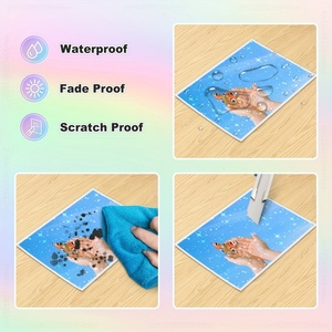 Nhà Máy Bán buôn 80mic trang trí Holographic cán lạnh cán phim cho quảng cáo Poster vật liệu - Product Image 5