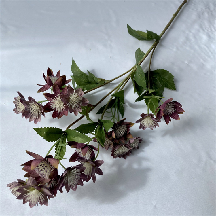 Light purple