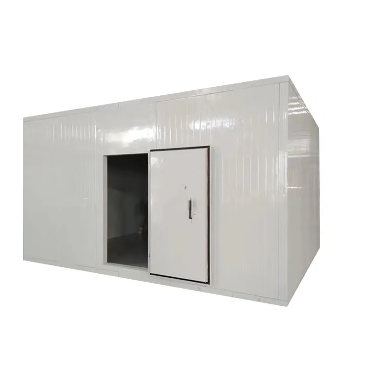 Blast freezer blast freezer comercial de peixes