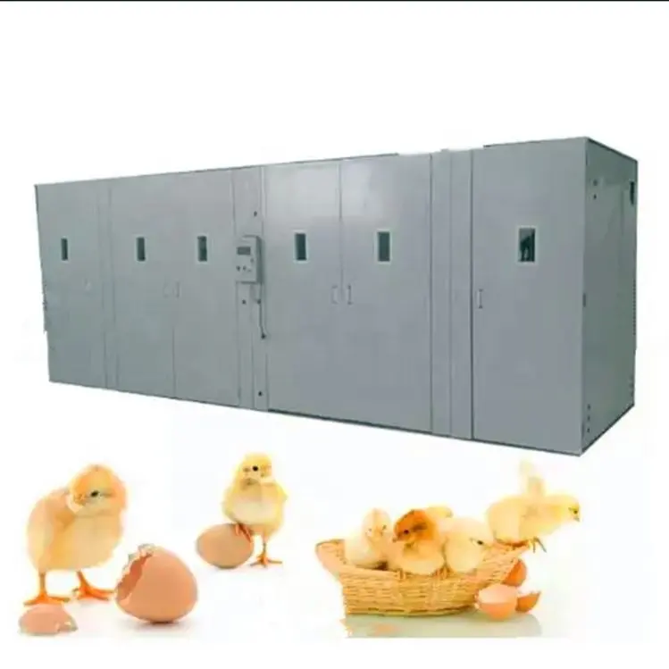 Último Design Hot Sale Chicken Egg Incubator Hatching