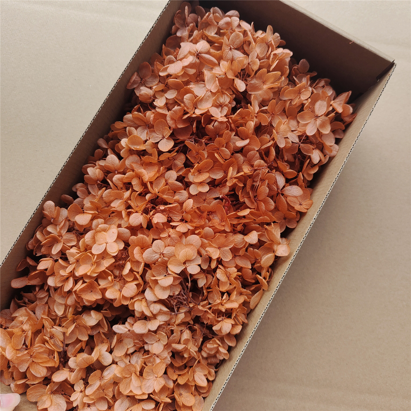 Yellow coffee wood hydrangea-90-100g per box