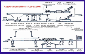 交钥匙工程简易安装猪肉屠宰场设备100生猪加工屠宰场双轨机 - Product Image 2