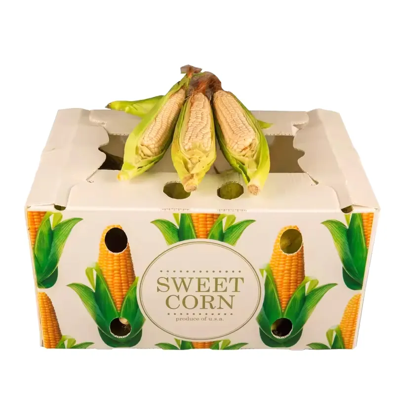 hot sale corrugated plastic correx coroplast Corflute corn fruit and vegetable pp plastic boxes
