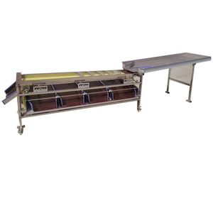 Máquina clasificadora de verduras y frutas, máquina calibradora de clasificación de frutas y aguacate, máquina clasificadora de grado de tamaño de fruta hecha en China - Product Image 5