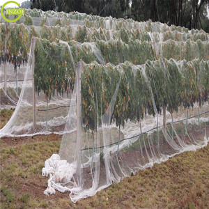 Transparentes Katzen schutz netz zum Schutz - Product Image 6
