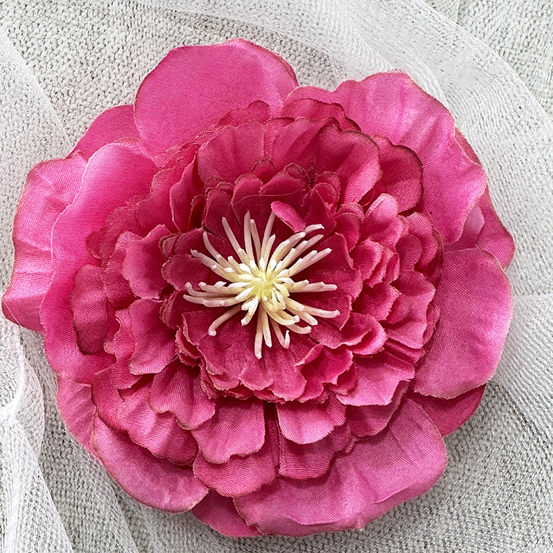 Rose rose