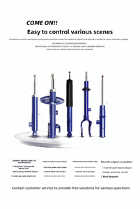 Yüksek kalite konfor için yeni ayarlanabilir yumuşak sert ön/arka sol/sağ amortisör süspansiyon modifikasyonu - Product Image 5