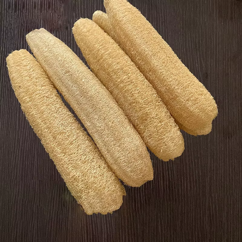 Longueur 40-49 cm
