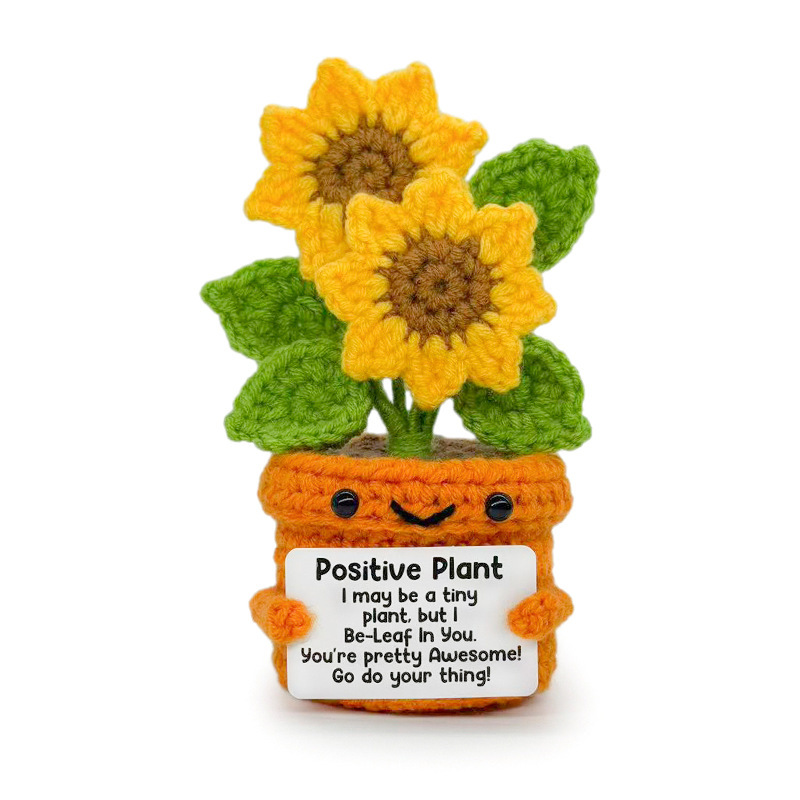 Plante en pot orange à feuilles vertes de tournesol à deux faces