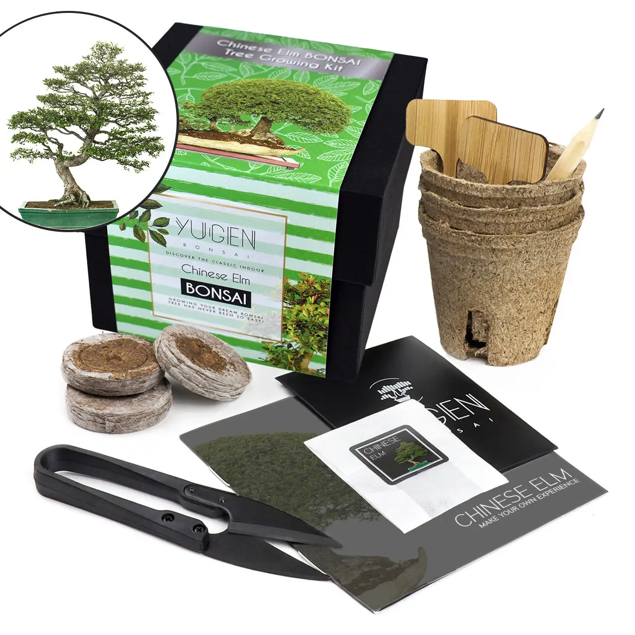 Kit de démarrage de croissance de festival, kit de jardin d'herbes d'intérieur, outil pour faire un arbre de bonsaï avec ciseaux d'élagage, ensemble d'outils de bonsaï